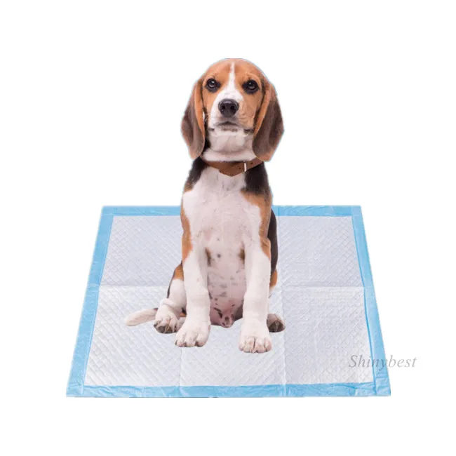 Pack of 50 pee pads underpads for dogs pet and puppy train 100 150 30x30 wee indoor cat toilet supe 20 x 23