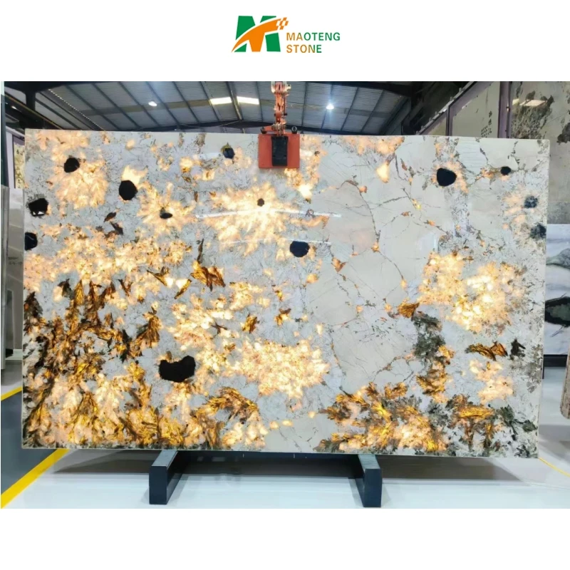 Luxury Home Decor Granite Slabs Backlit Patagonia White Granite Floor Wall Interior Exterior