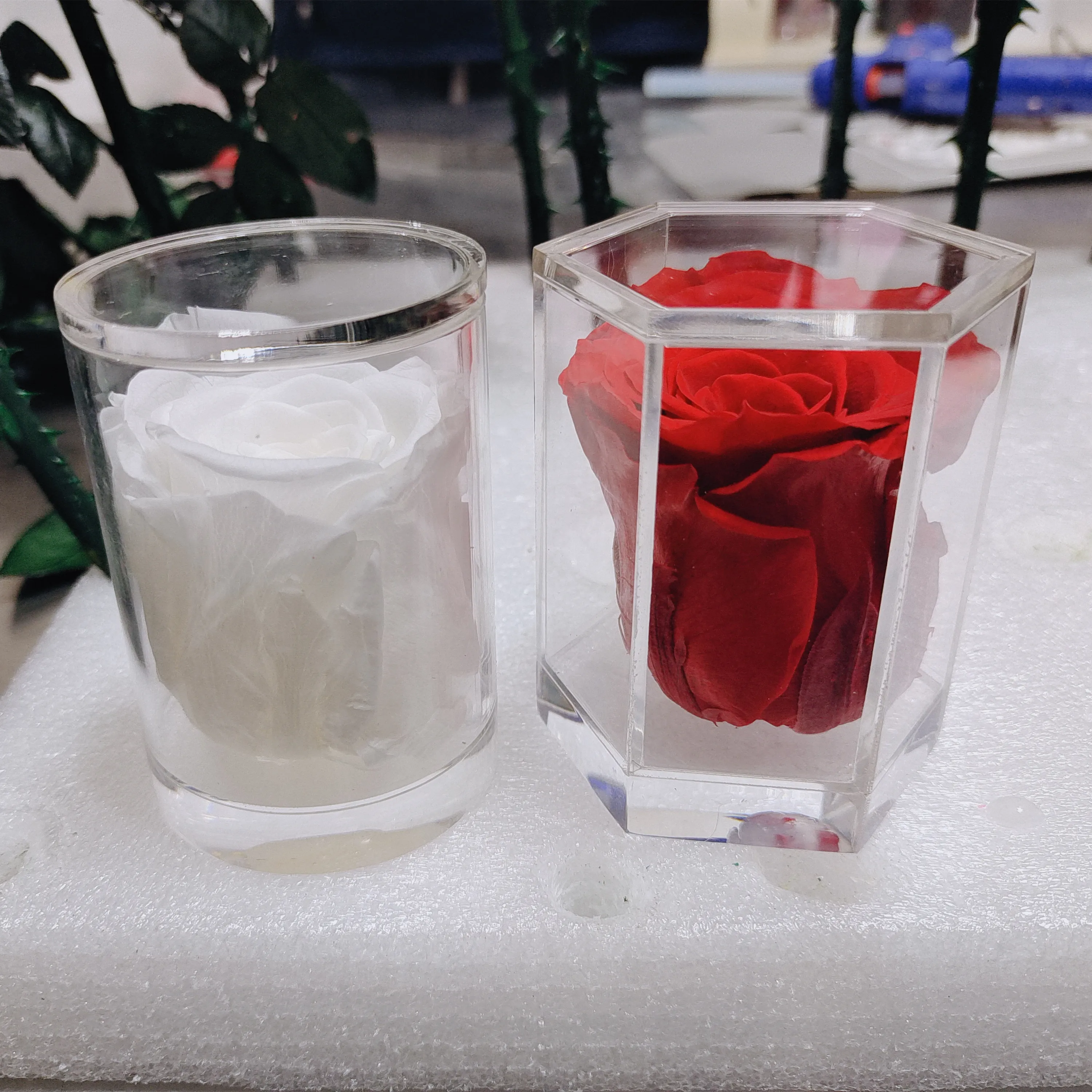 Customized Logo Decoration Flower Acrylic Box Diy Everlasting Natural Forever Long Lasting Immortal Preserved Roses Flower