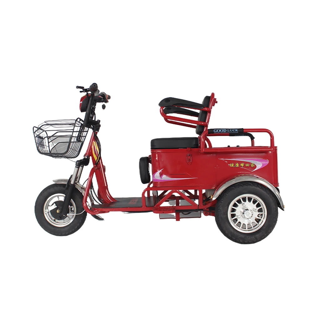Electric Tricycle Passenger Double Usage For Passengers Or Electric Cargo Electrical Bike For Elder People