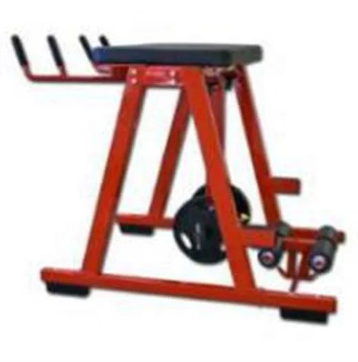Hammer strength Reverse Hyper Extension Bench Press