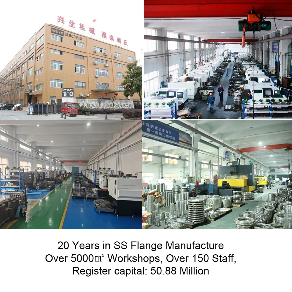 forged 2205 super duplex stainless steel sepcial alloy titanium flange