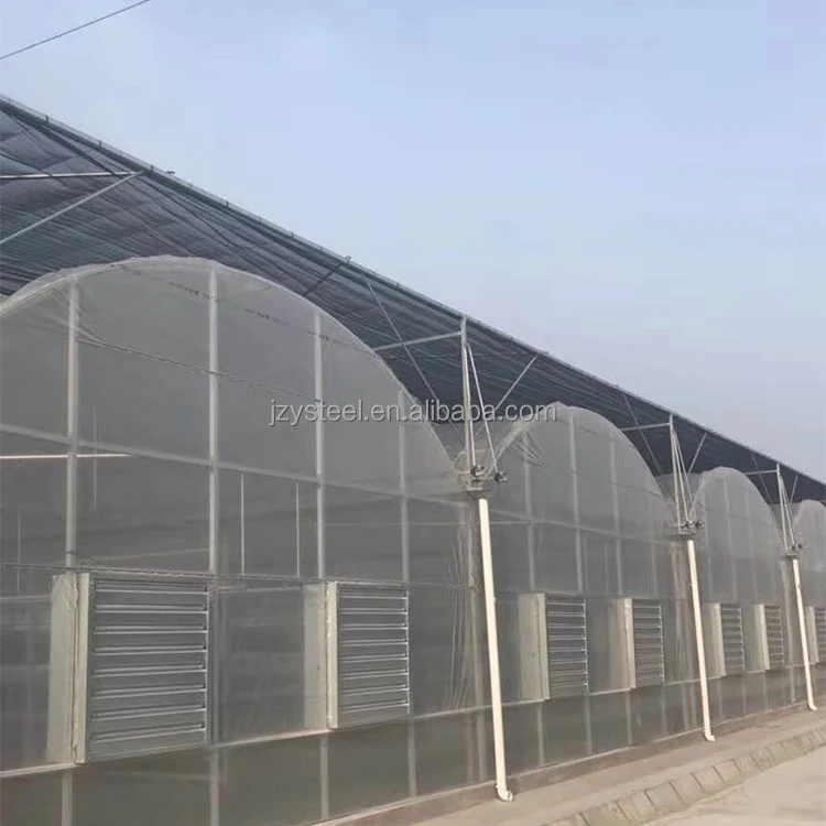 China supplier cheap price tunnel greenhouse