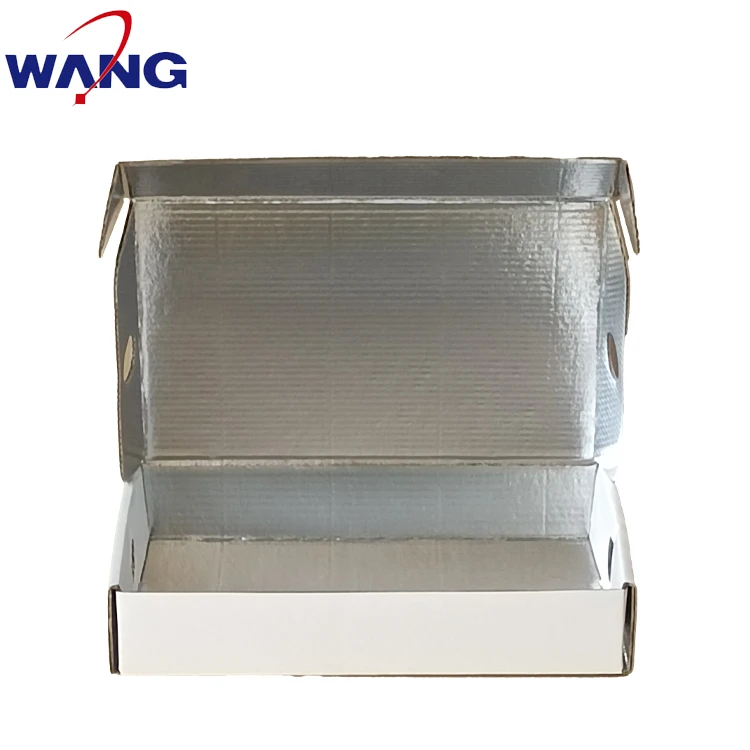 insulation box for meat fish transport container /ice cream carton frozen seafood insulated shipping carton