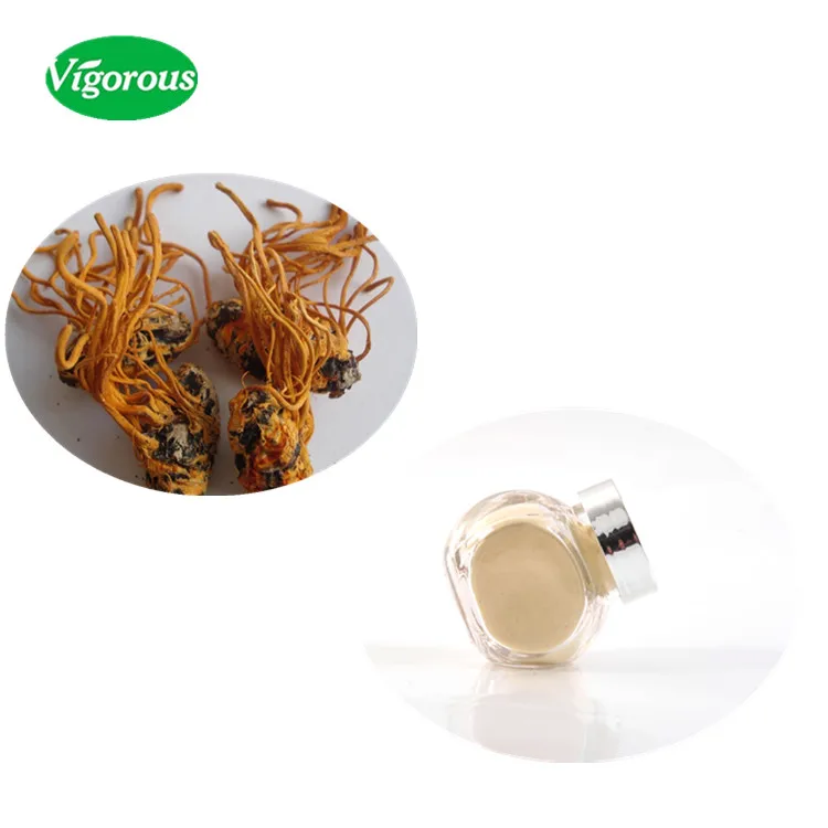Hot selling best price high nutrition free sample haccp organic Cordyceps Extract