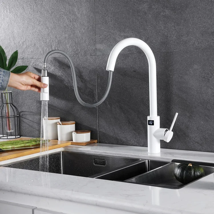 2022 New Style Stainless Steel Kitchen Sink Water Gold Black Brushed Color Pull Out Smart Touch Sensor Kitchen Faucet