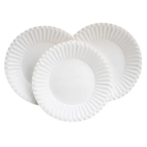 Wenzhou Bonjee Machinery paper tray forming machine on sale