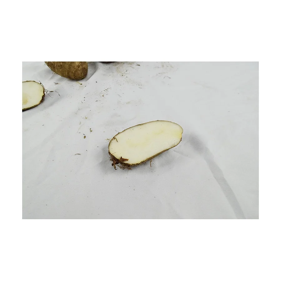 Suppliers Directly Sell Taro With Sufficient Inventory for Export