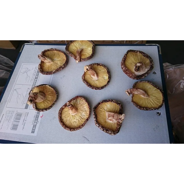 
healthy longevity Whole Raw best price export Wild dried shiitake mushroom stem 