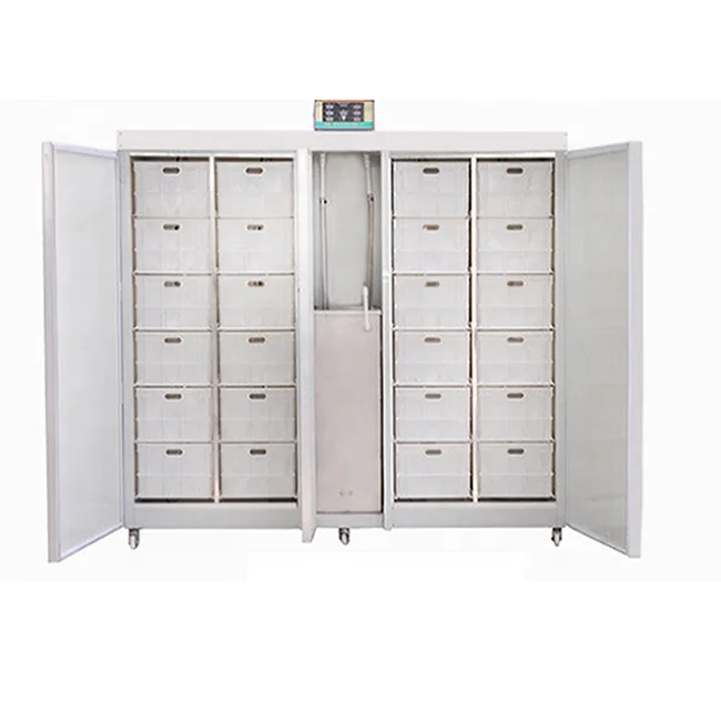 High quality best selling mung bean sprout machinery