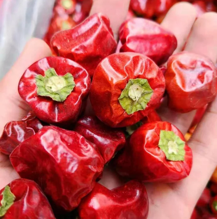 Bell pepper medium spicy special spicy chili spice hot pot base bulk wholesale