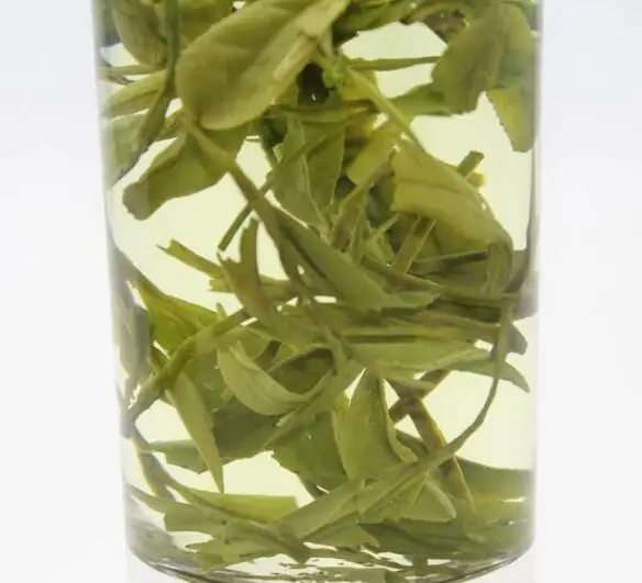 
Cha ye green leaves Digestant Folium Gemmae Camellia Sinensis tea 