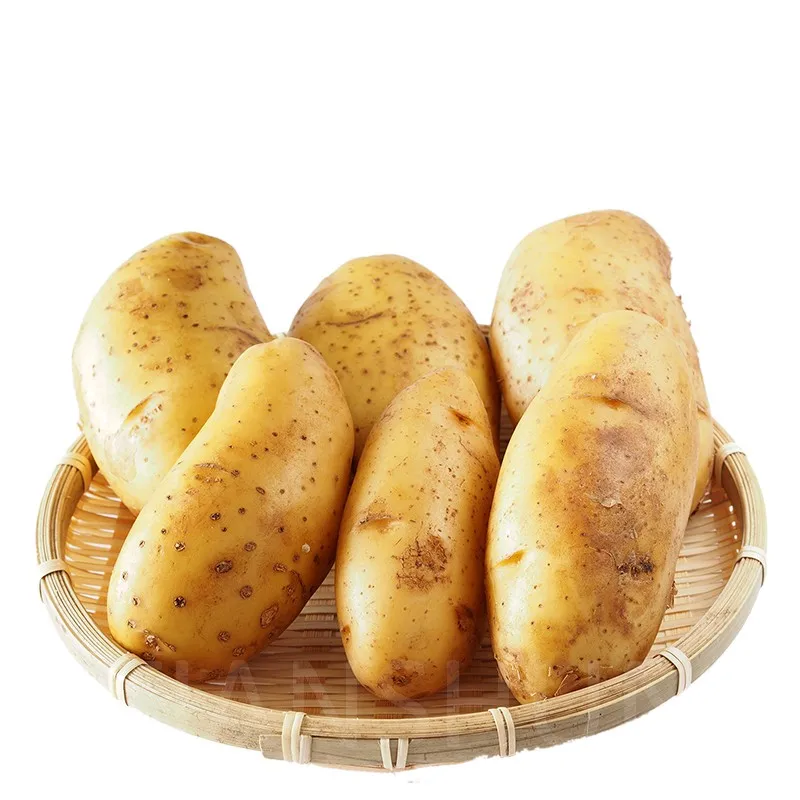 Sweet Fresh Holland Potato Seeds 2021 Price,TSPT22, sweet potato, Fresh Potato Price, Holland Potato Farms