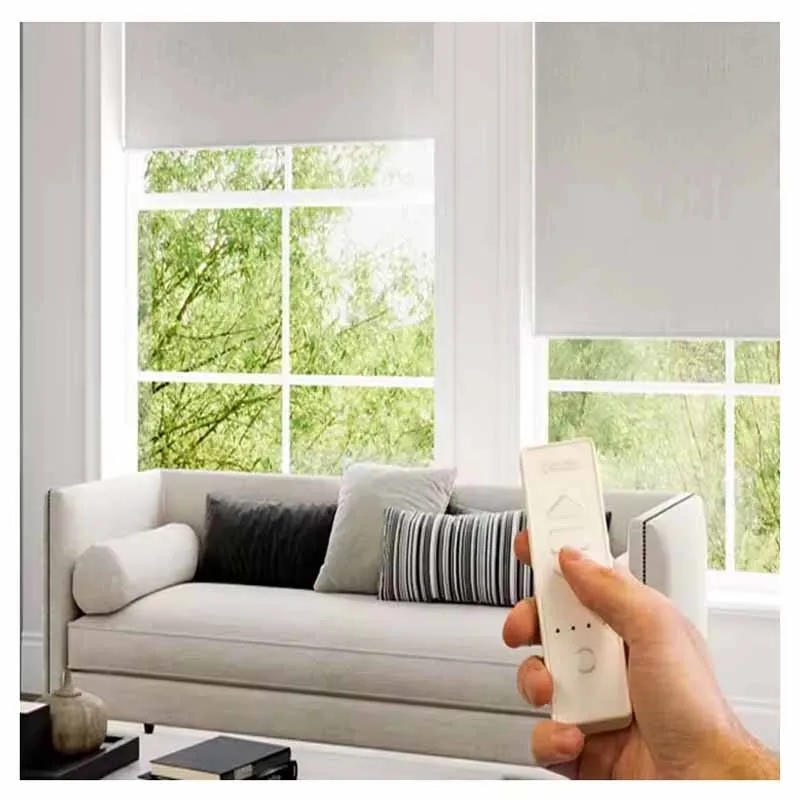 New Automatic WiFi Blackout Electric Window Indoor Sun Shading PVC Curtains Horizontal Shades Roller Blind for Windows