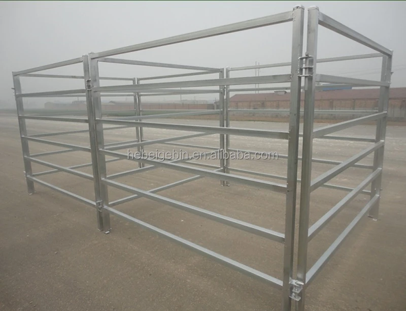 cattle panels_.jpg