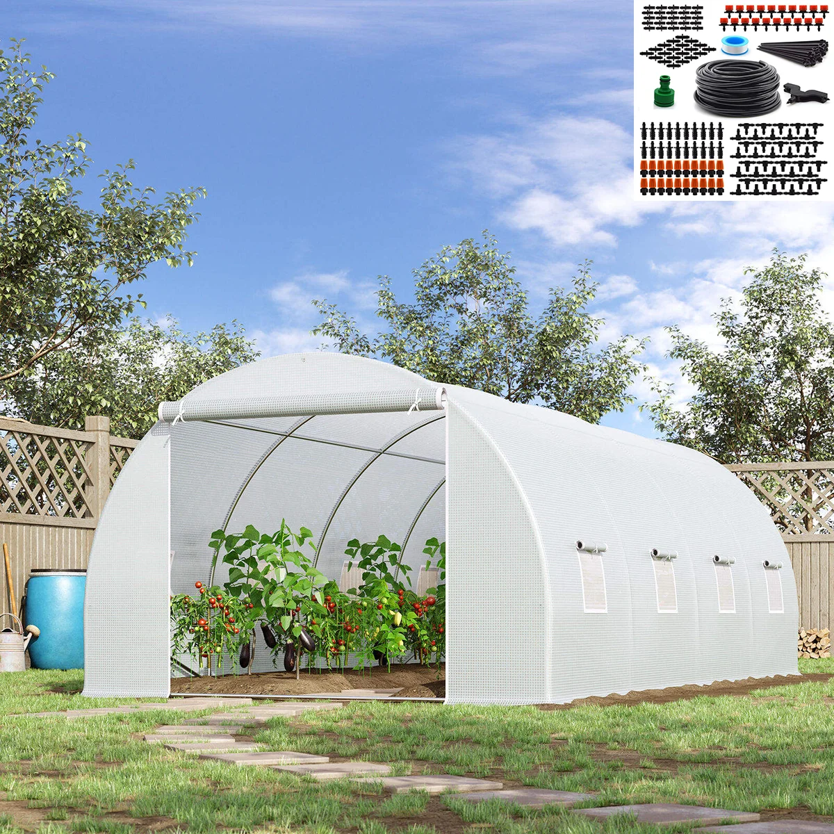 Mini garden Greenhouses walk in tunnel greenhouse