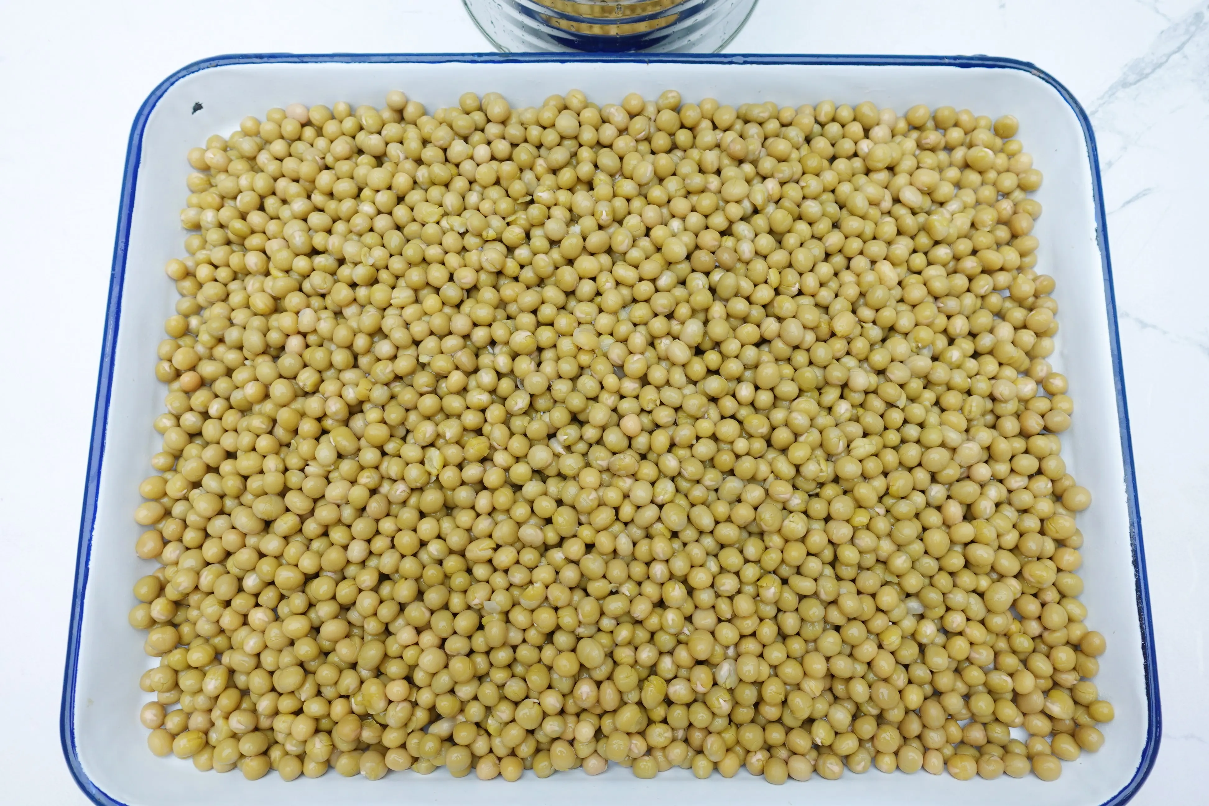 3 KG big size wholesale canned green peas healthy beans vegetable in brine can food