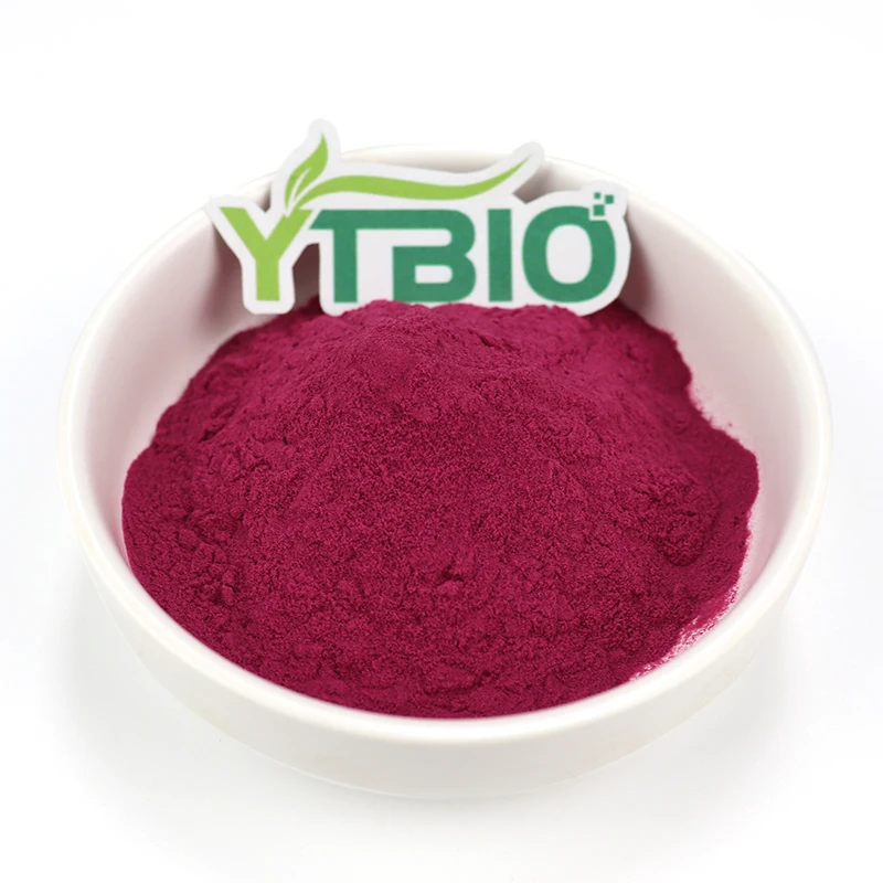 
Factory supply blueberry juice powder with the best price 