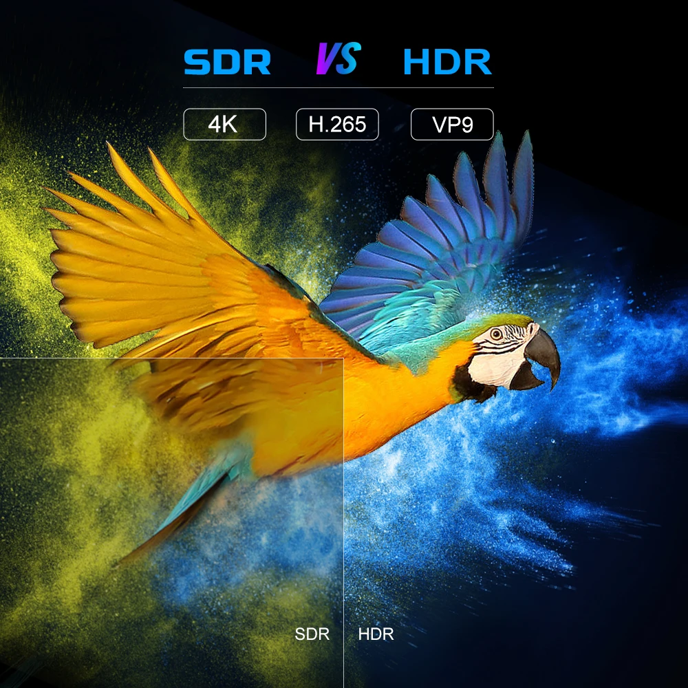 specs x96 mini  (12)