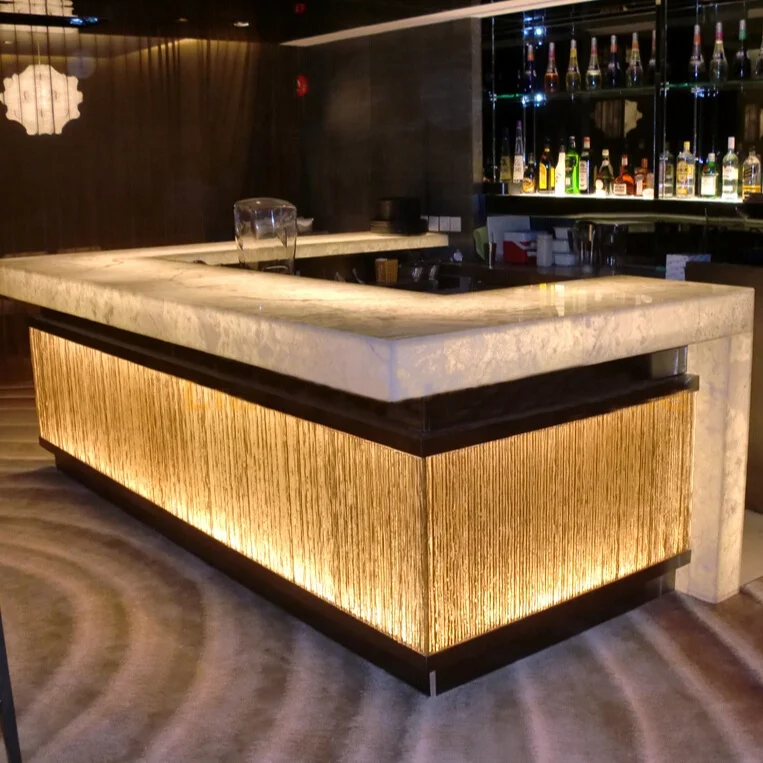 Luxury unique aquarium fish tank bar counter