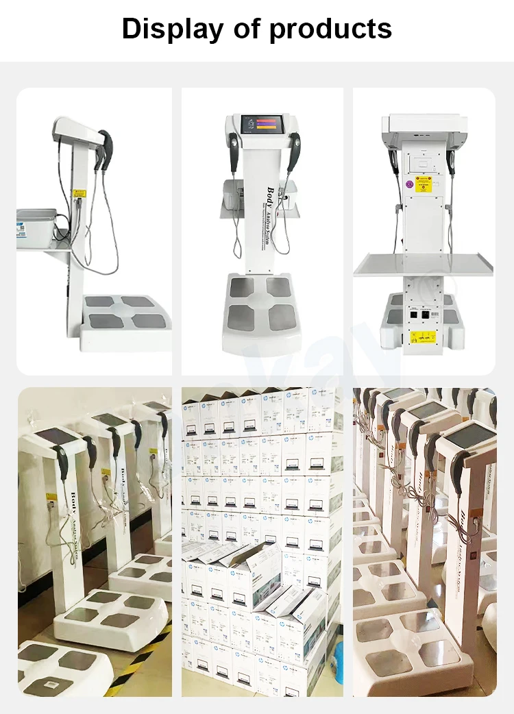 Body Composition Analysis Machine Health Measurement Body Element Analyzer With Printer