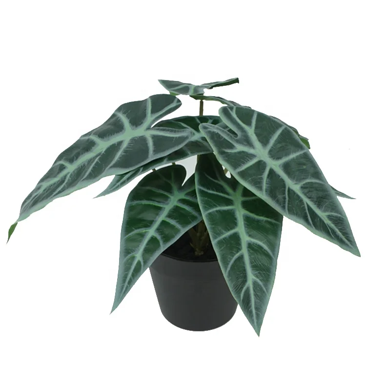 Factory sale simulation potted plants real touch 23 cm artificial aquatic Caladium in plastic pot for bonsai