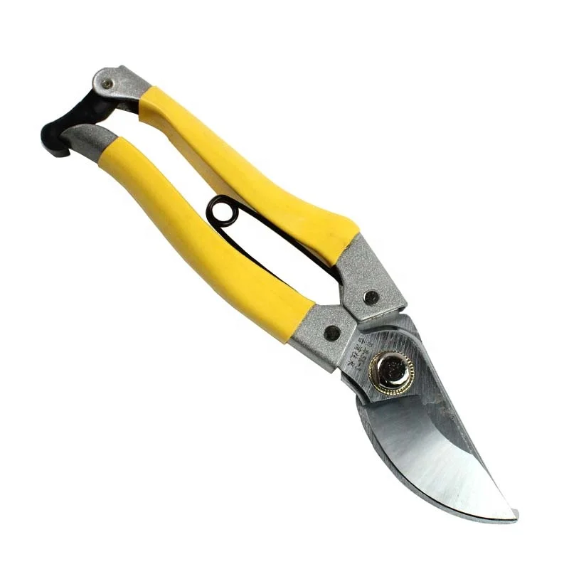 Garden pruning garden shears