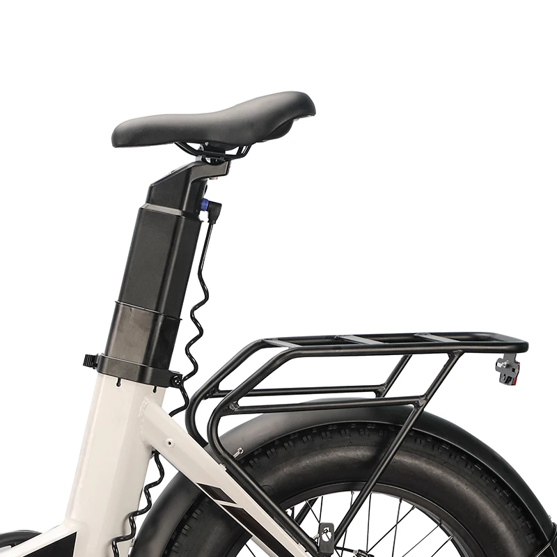 Top rated electric bicycle e bikes radrover 6 plus fat tire electric bike-rad 20 inch retro fat tire electric bike womens