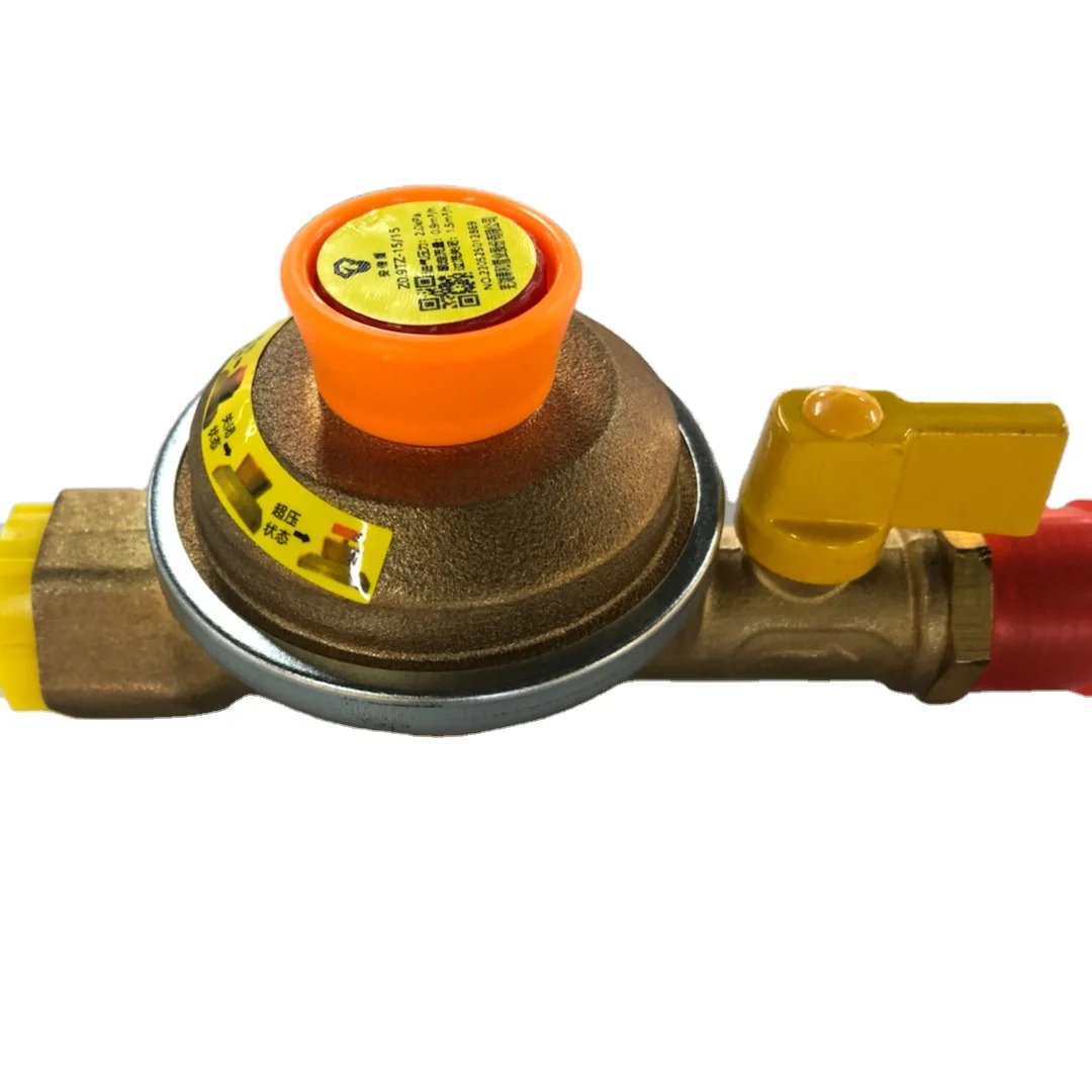 intelligent detection natural gas self-closing  protect valve Automatic extinguishing