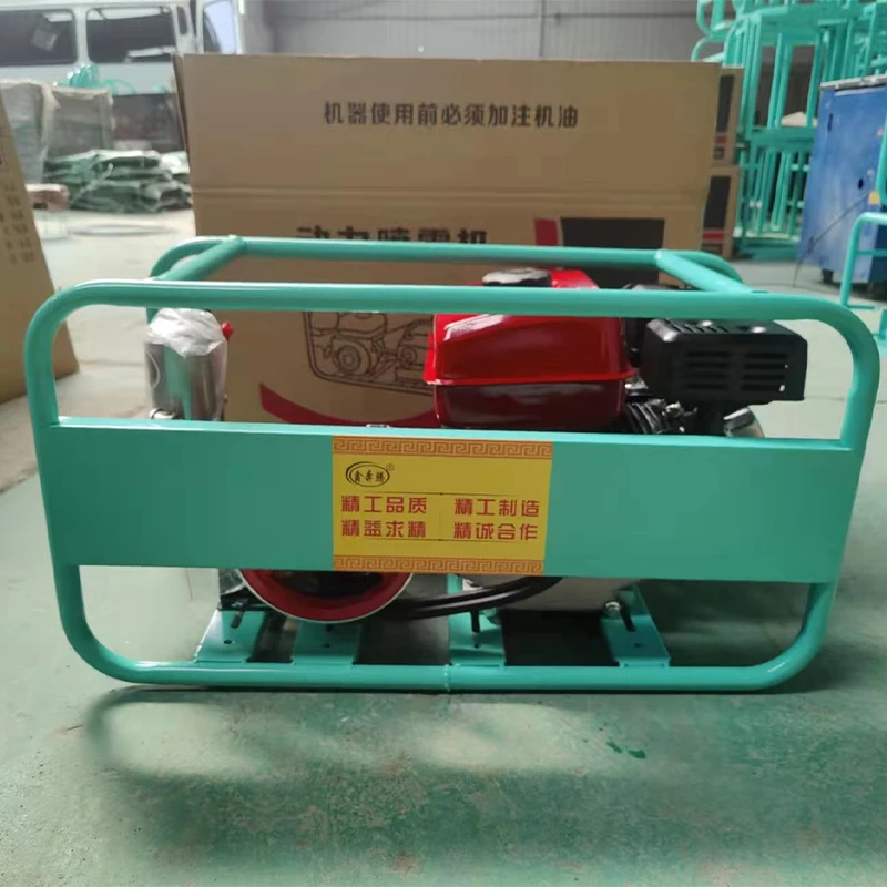 Agriculture Plant Planting Equipment Gasoline Engine Sprayer Pump Machine Custom Your Size