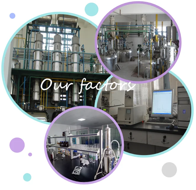 Natural factory organic Anethum graveolens powder extracted 10:1 Dill Seed Extract