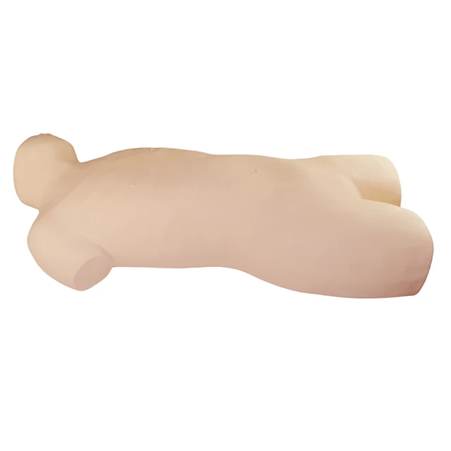 Thoracic Drainage Model
