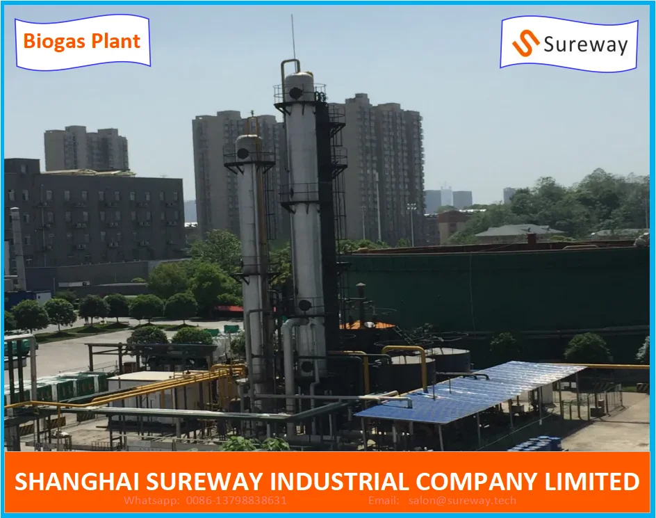 Biogas Project-Anaerobic Reaction Tank System