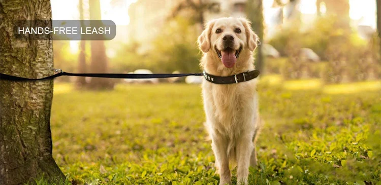 Multifunctional Eco-friendly Double Heads Waterproof Pvc Tpu Pet Dog Leash