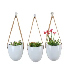 ceramic pot planters