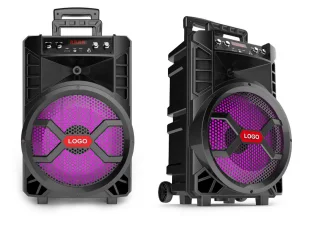 Manufacturer 12 inch outdoor sound system DJ party wireless portable speakers