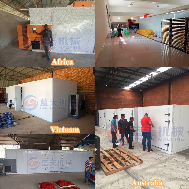 
Industrial Food Heat Pump Fish Dryer Oven Drying Machine Price 