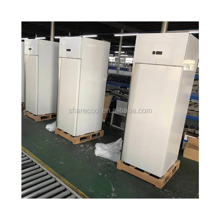 Ventilation Cooling Hotel Commercial Refrigerator Cabinet