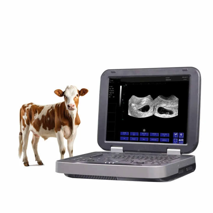 Hot Sale portable animals ultrasound Scanner Machine For cow horse Animal Veterinary Ultrasound with prode