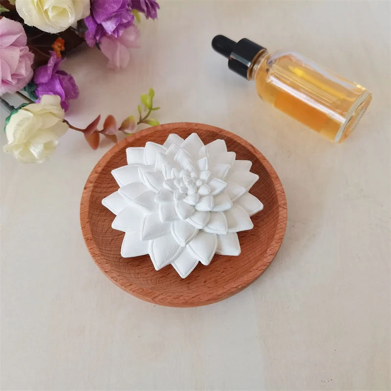 Succulent aroma stone diffuser with wood plate