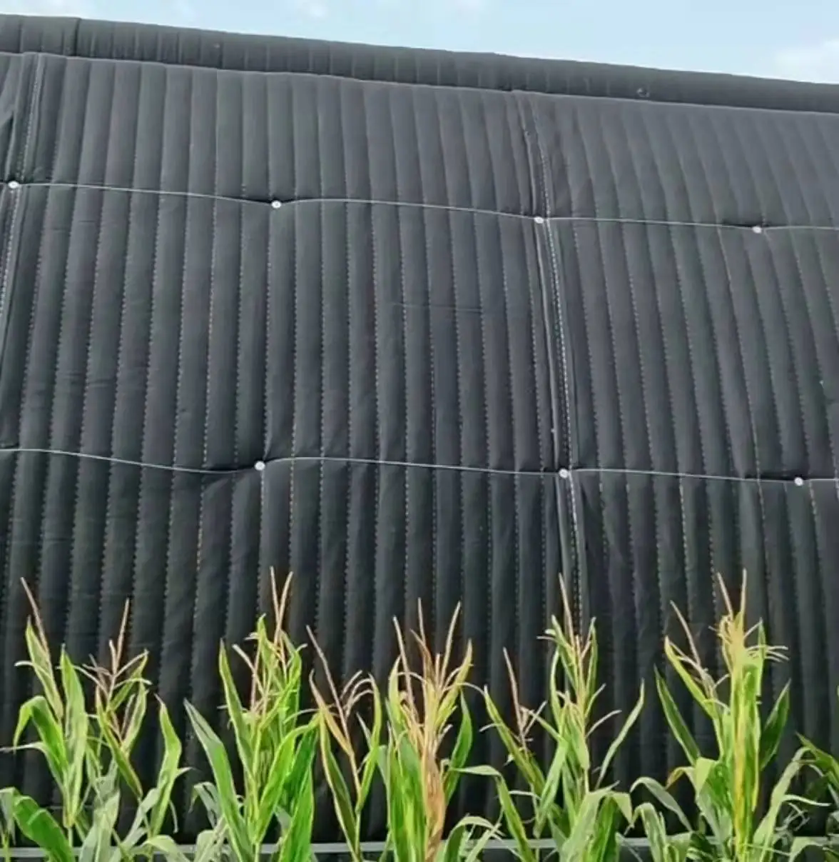 Wholesale Cheap Eco Friendly Heat Keeping Thermal Blanket Greenhouse Insulation Quilt