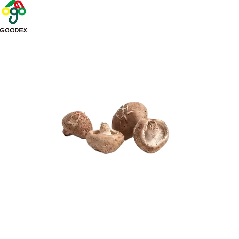 2024 popular high quality shiitake mushroom 300g/bag Turkey Side Dish Thanksgiving Christmas festival celebrationsoup salad