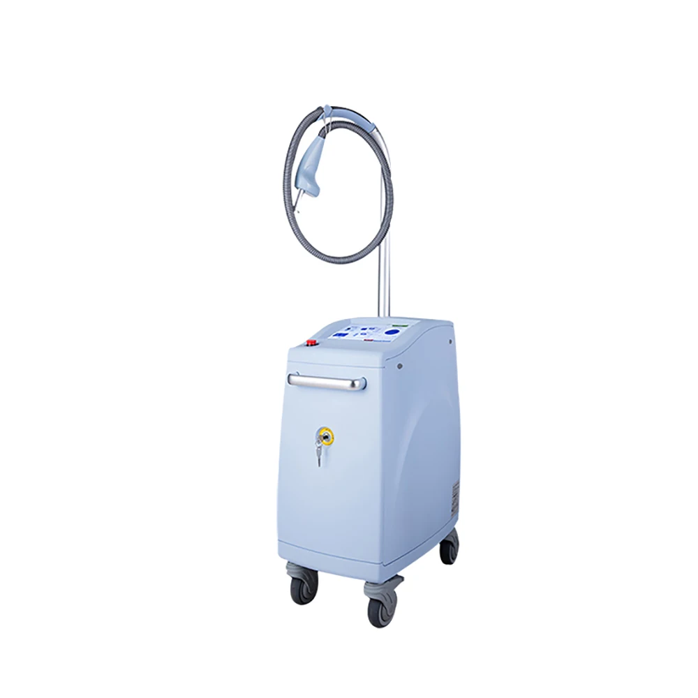 Salon Use Fractional Wrinkle Removal Machine 1550nm Erbium Medical Laser Treatment