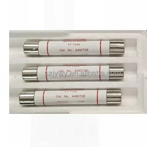 A480T2E 4.8KV 2E Potential Transformer Fuses E-rated PT fuses AT480T
