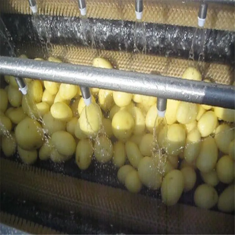 Potato Peeling Machine Made in China