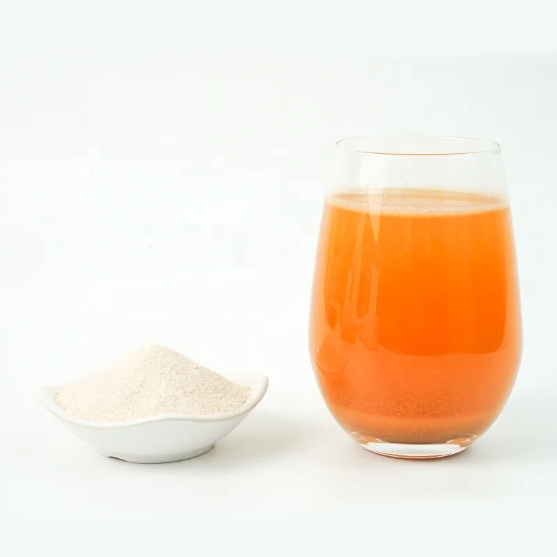 New Arrival fruit juice powder of sour plum powder drink With good service