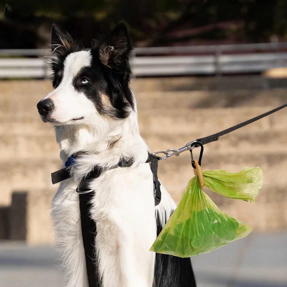 Custom Wholesale Poop Bag Holder Silicone Dog Waste Bag Holder Waterproof Dog Pet Poop Bag Holder