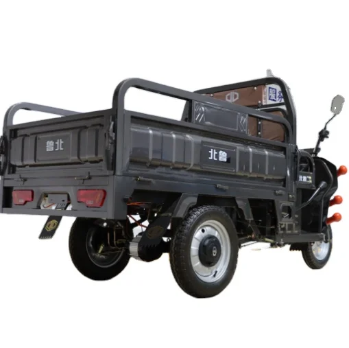 High quality  For Cargo Tricycle Electric And Electric Tricycles 3 Wheel Electric Cargo Bike For Sale