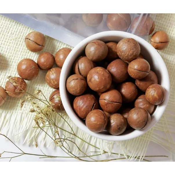 High Quality Dried Shell Macadamia Nuts Sweet Milky Flavor Hand Squeeze Yummy Snack Dried Fruit Wholesale Supply