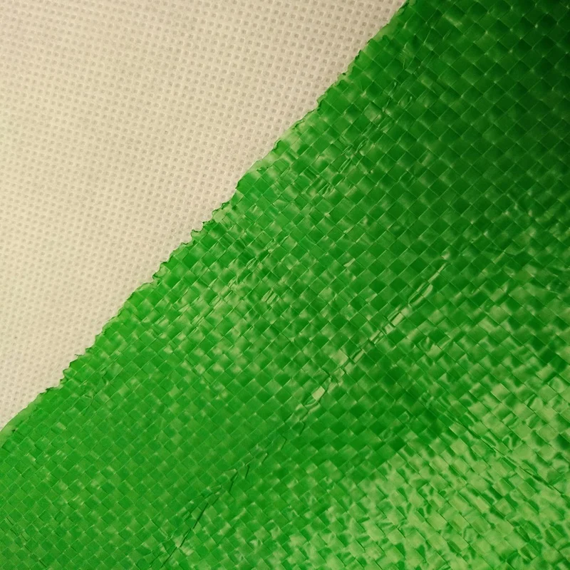 Factory Greenhouse PP Woven Weed Control Mat / Ground Cover Mesh Fabric / Agricultural Black Plastic Gardening Ground Cover